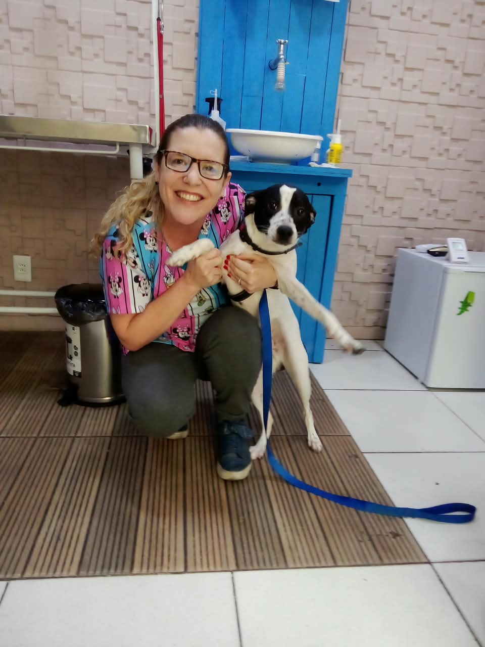 Veterinária com um paciente cão preto e branco na sala de atendimento