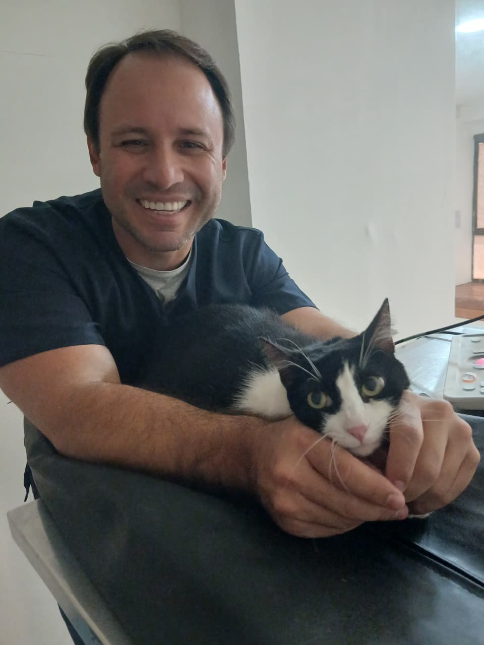 Profissional da equipe com um gato preto e branco no colo